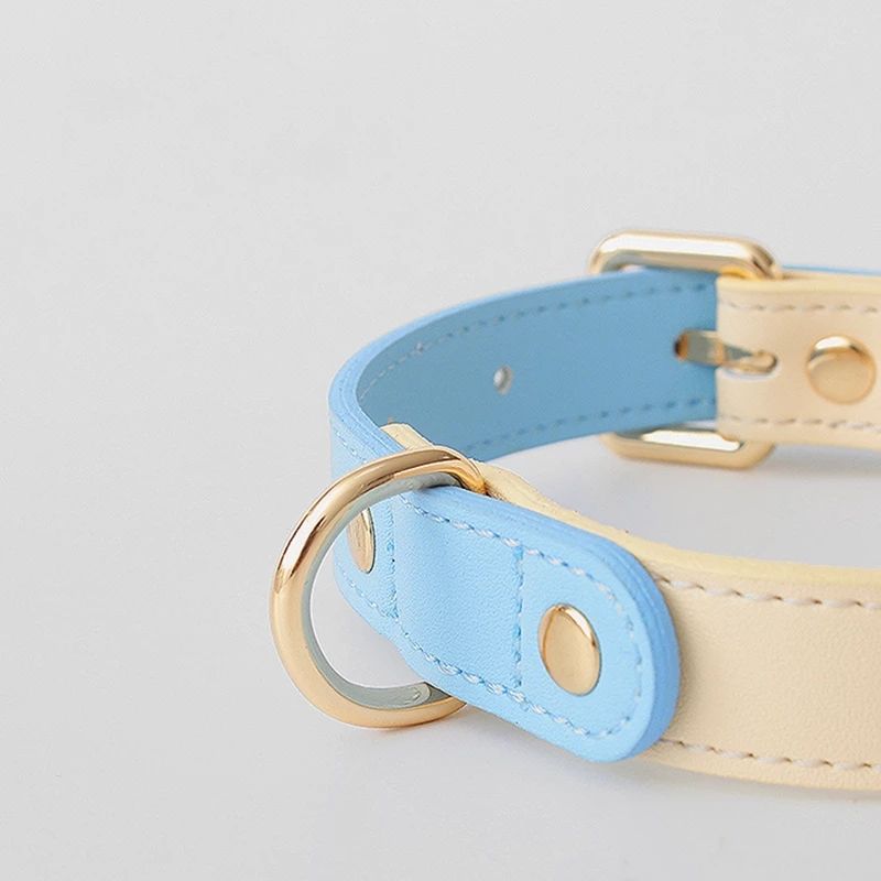 Collier en cuir véritable