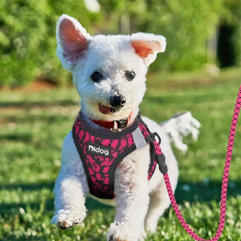 Breathable Dog Harness and Leash Set Reflective Mesh Pet Puppy Harness Vest Lead Leahes Chihuahua Harness for Small Dogs