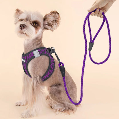 Breathable Dog Harness and Leash Set Reflective Mesh Pet Puppy Harness Vest Lead Leahes Chihuahua Harness for Small Dogs