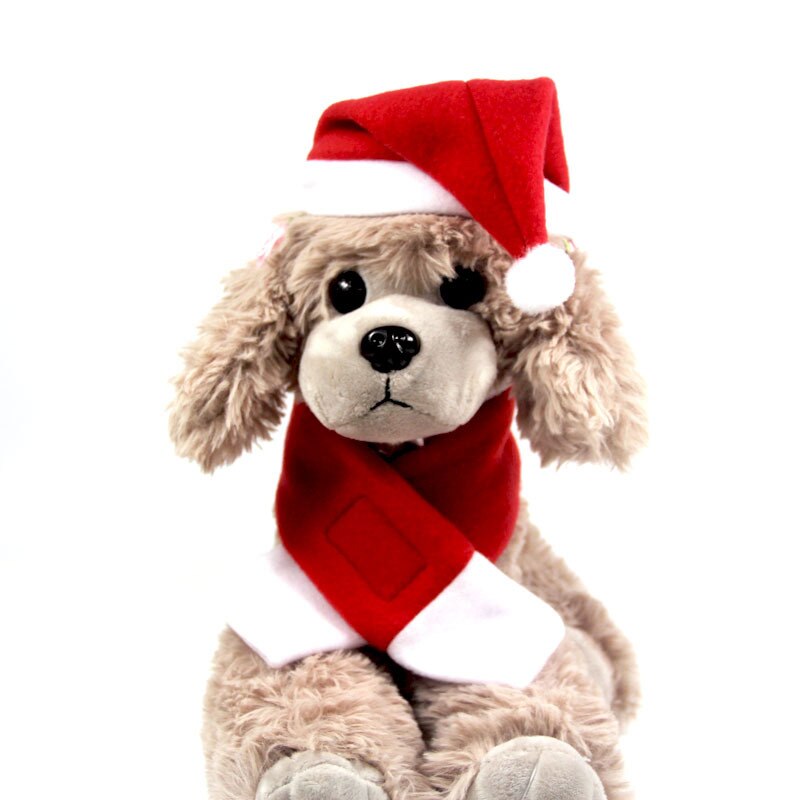 Écharpe et bonnet de Noël