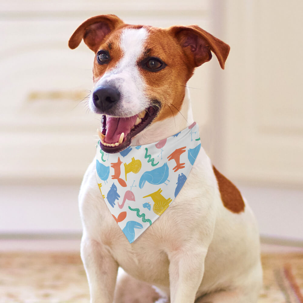 Bandana coloré