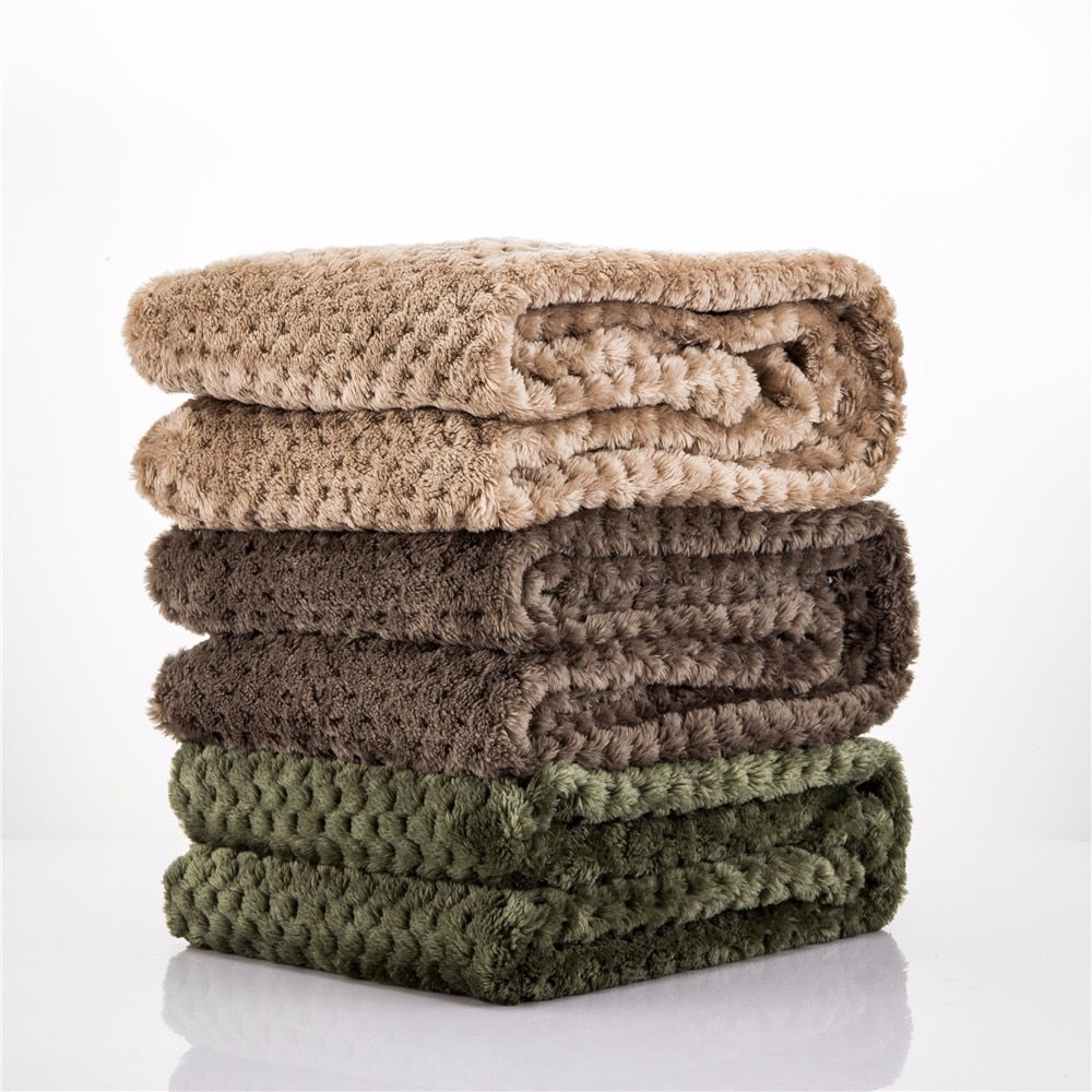 Couverture, animal domestique, chien, chaud