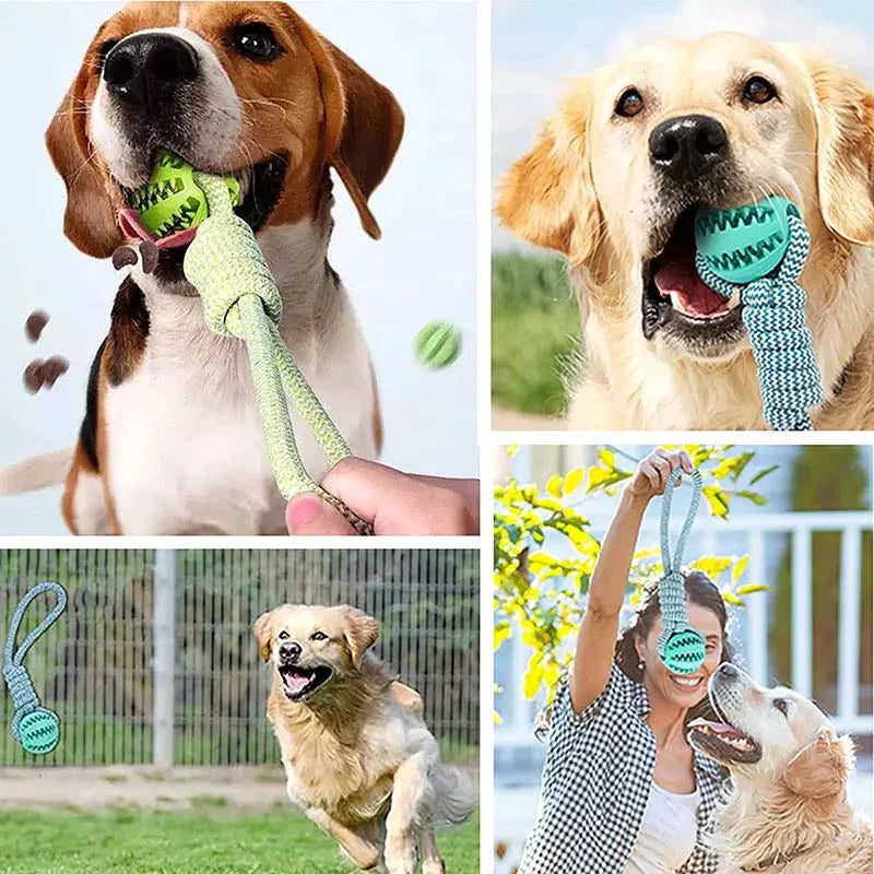 New Dog Toy Hand Pull Leaky Food Ball Molars Anti-Bite Woven Cotton Rope Chewing Interactive Pet Tooth Cleaning Toy Dog Supplies