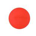 Frisbee Multi Plate résistants aux morsures