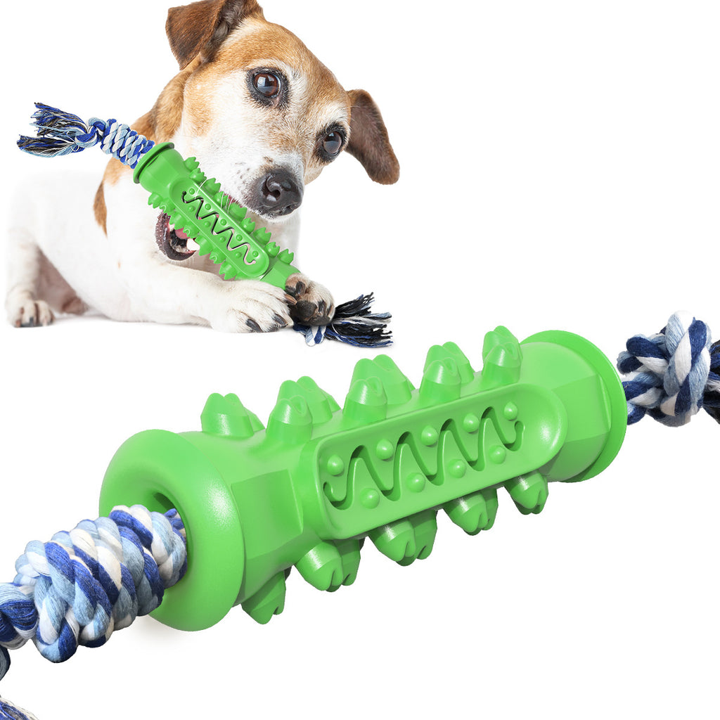 Stick Brosse à dents résistante aux morsures, Brosse à dents, Jouet pour chien avec corde