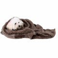 Couverture, animal domestique, chien, chaud