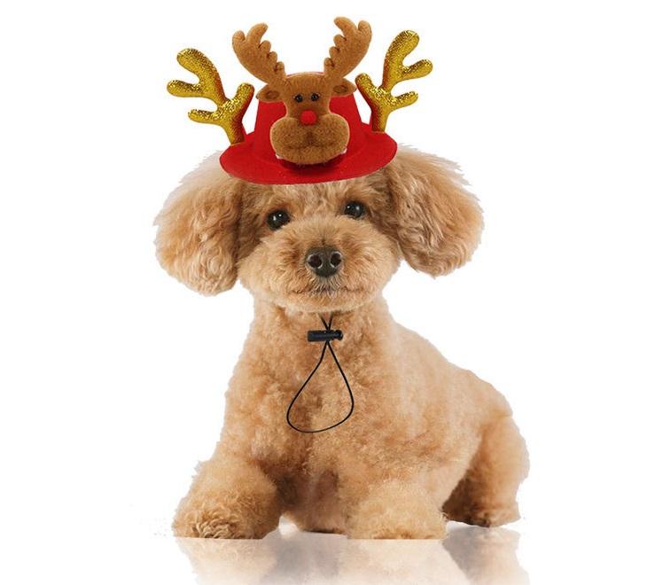 Chapeau de Noël