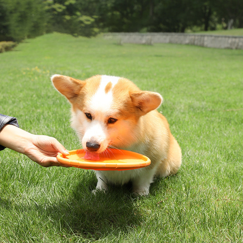 Frisbee Multi Plate résistants aux morsures