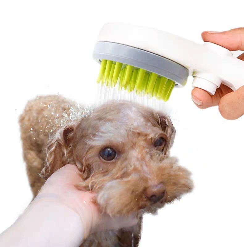 Douchette de douche massant