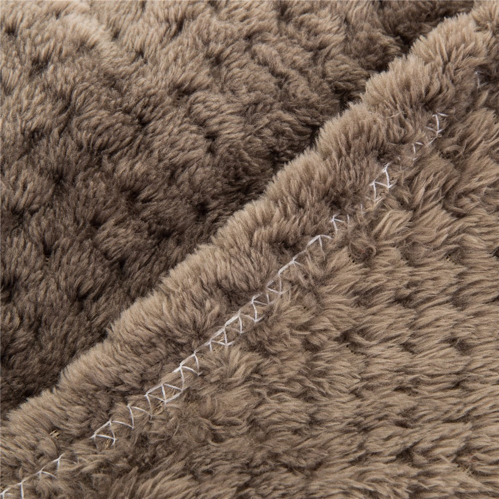 Couverture, animal domestique, chien, chaud