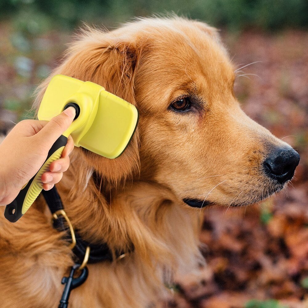 Brosse Premium autonettoyante Benepaw