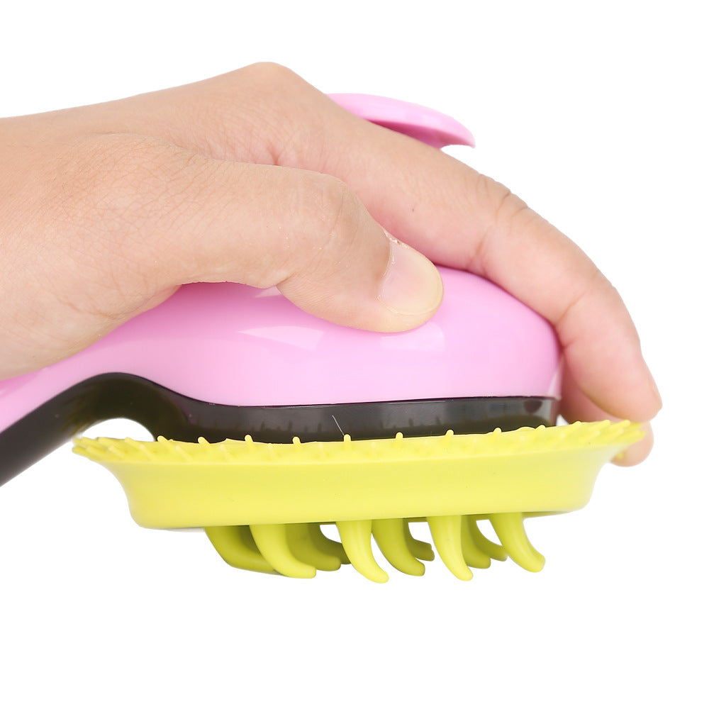 Brosse de douche