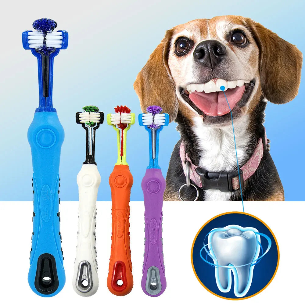 Brosse à dents souple