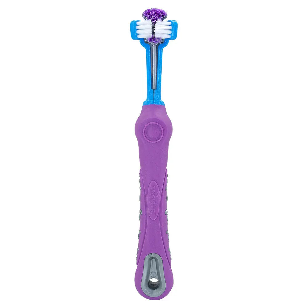Brosse à dents souple