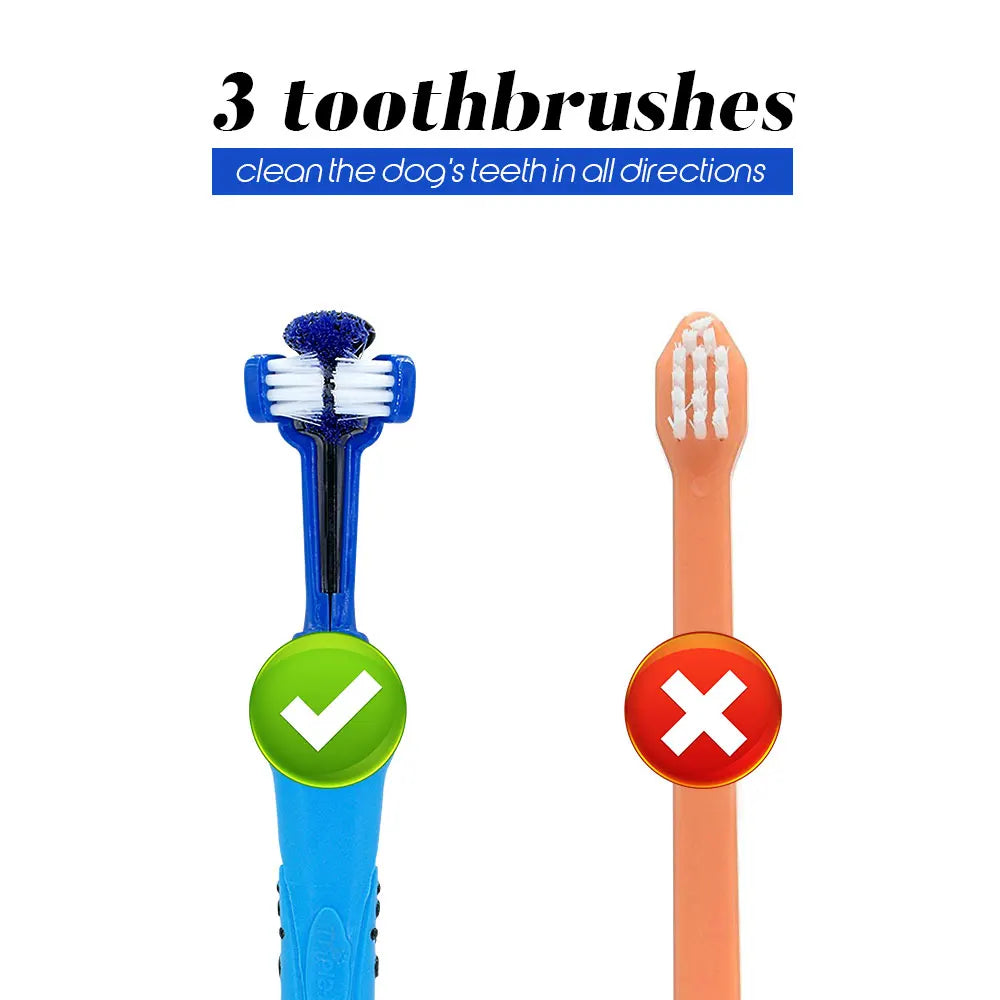 Brosse à dents souple