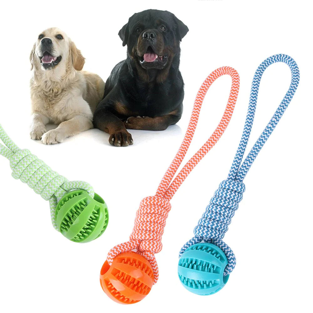 New Dog Toy Hand Pull Leaky Food Ball Molars Anti-Bite Woven Cotton Rope Chewing Interactive Pet Tooth Cleaning Toy Dog Supplies