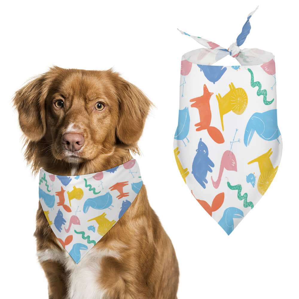 Bandana coloré